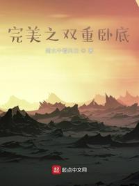 完美之双重卧底白夜